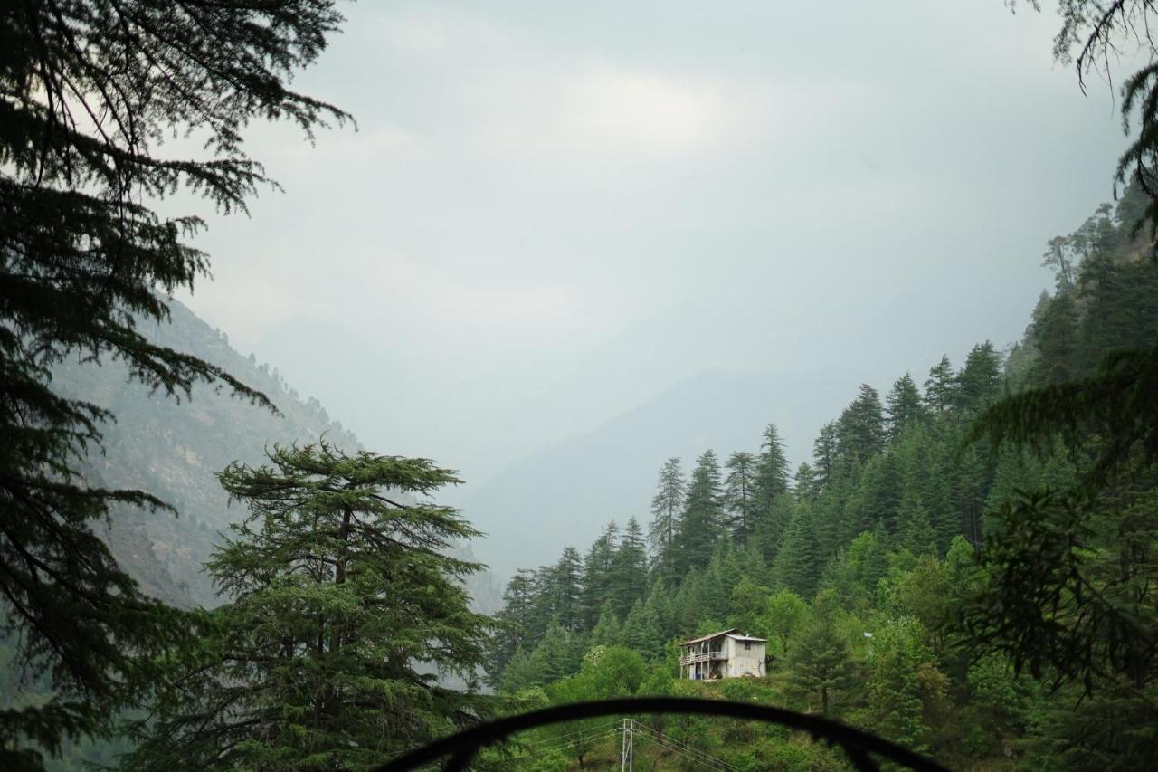 Hotel Deep Forest 卡索尔 外观 照片