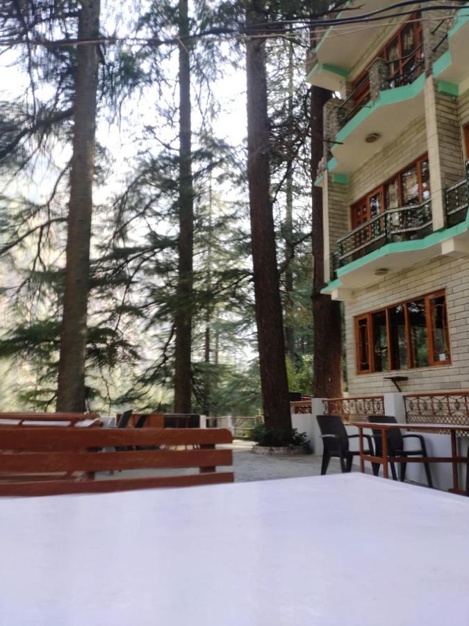 Hotel Deep Forest 卡索尔 外观 照片