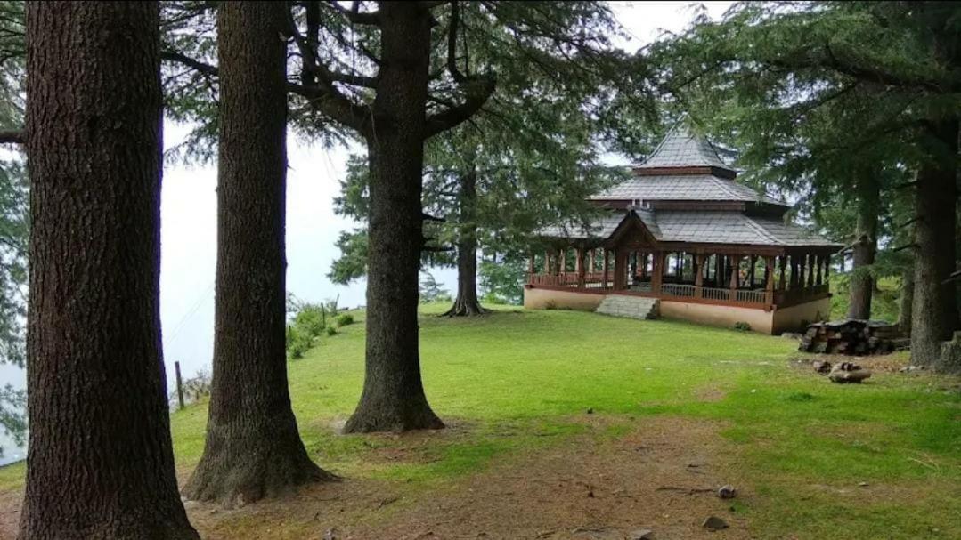 Hotel Deep Forest 卡索尔 外观 照片